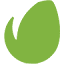Envato Tuts的平面设计和插图教程